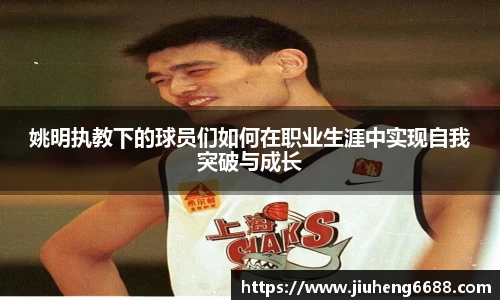 星空综合官网