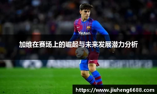 星空综合·(中国)官方网站